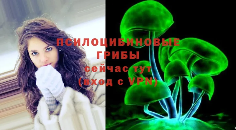 Псилоцибиновые грибы Psilocybine cubensis  сколько стоит  Кадников 